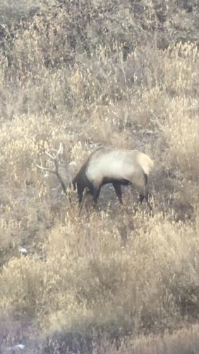 C6CE61F3-54AF-40C0-960B-81BF511FF247.jpeg C6CE61F3-54AF-40C0-960B-81BF511FF247.jpeg