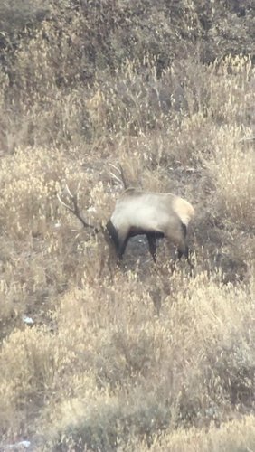 DAE48156-C1D4-4856-A570-033D3C132B30.jpeg DAE48156-C1D4-4856-A570-033D3C132B30.jpeg