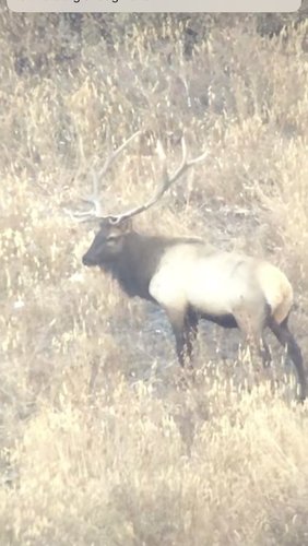 E6AF1268-1542-411E-98A7-BD77340A79A3.jpeg E6AF1268-1542-411E-98A7-BD77340A79A3.jpeg