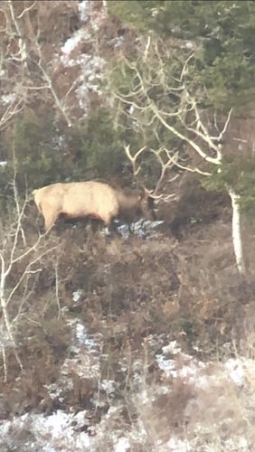 0F5FBAC7-9EDA-4AAF-B88C-92654A702A91.jpeg 0F5FBAC7-9EDA-4AAF-B88C-92654A702A91.jpeg