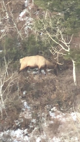 9469EB11-15E2-46F4-8DF9-C9AD438B3FAF.jpeg 9469EB11-15E2-46F4-8DF9-C9AD438B3FAF.jpeg