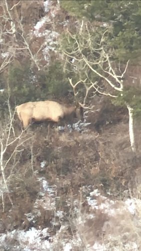 D51D262A-8BDD-48CA-93B2-F5EC7E944F3F.jpeg D51D262A-8BDD-48CA-93B2-F5EC7E944F3F.jpeg