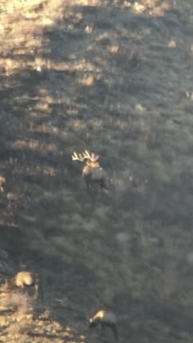 0C838109-9116-4CB2-A98E-04081AF5A8D9.jpeg 0C838109-9116-4CB2-A98E-04081AF5A8D9.jpeg