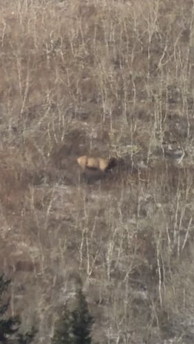 BBC13FF6-B7E5-45BD-867F-4E201C5CF523.jpeg BBC13FF6-B7E5-45BD-867F-4E201C5CF523.jpeg