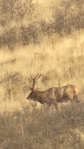 F032E6C8-59A2-44EF-AF86-499058AC851D.jpeg F032E6C8-59A2-44EF-AF86-499058AC851D.jpeg