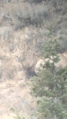 B6E68CDF-E491-433F-88BF-F81B1667030C.jpeg B6E68CDF-E491-433F-88BF-F81B1667030C.jpeg