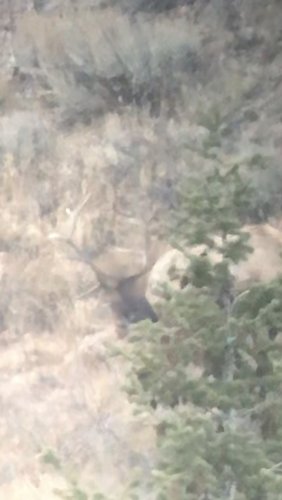 898B22E2-D234-4D83-AB10-EE7B86BFA31E.jpeg 898B22E2-D234-4D83-AB10-EE7B86BFA31E.jpeg