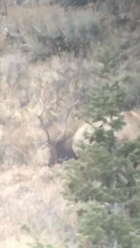 A9672434-DF48-4740-8EDF-45CBE4C64281.jpeg A9672434-DF48-4740-8EDF-45CBE4C64281.jpeg