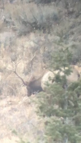 26FAD7A5-E155-4DE0-8CF3-B70B85F6CC42.jpeg 26FAD7A5-E155-4DE0-8CF3-B70B85F6CC42.jpeg