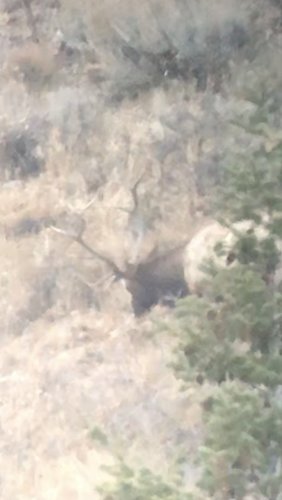 8D19A229-767E-491C-9DBC-1C2321A4CF87.jpeg 8D19A229-767E-491C-9DBC-1C2321A4CF87.jpeg