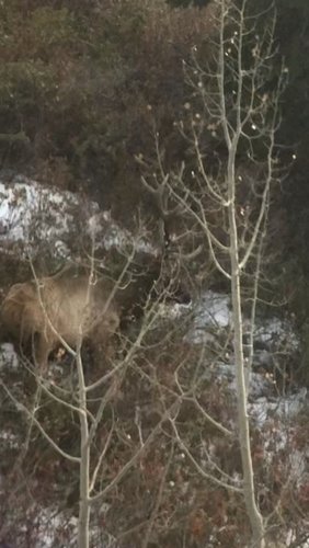 BF99C78C-7C3F-4B32-ABA4-64D040212FF6.jpeg BF99C78C-7C3F-4B32-ABA4-64D040212FF6.jpeg