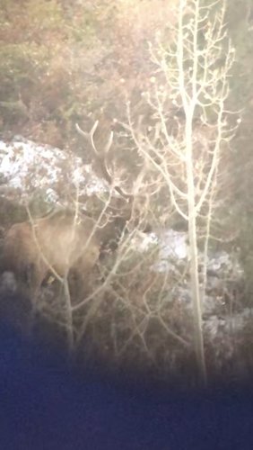 B0E9538D-4B7A-4774-A659-DF01030CFDE0.jpeg B0E9538D-4B7A-4774-A659-DF01030CFDE0.jpeg