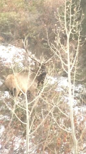 C2E1F64B-FB0E-4C83-8C8C-885831519BC7.jpeg C2E1F64B-FB0E-4C83-8C8C-885831519BC7.jpeg