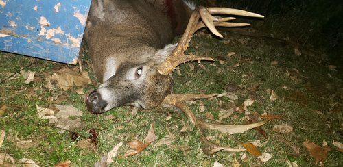 archery2019b.jpg