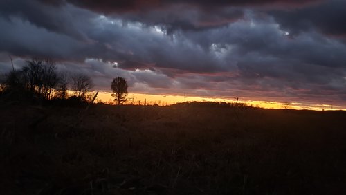 20191204_172747.jpg