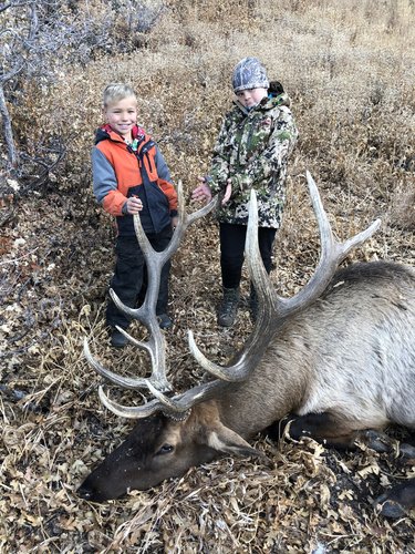 BEEB594C-F628-49CF-A3D2-E2C83DB10103.jpeg BEEB594C-F628-49CF-A3D2-E2C83DB10103.jpeg