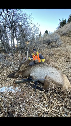 3555B59A-4160-4A15-B085-D3F64B948988.jpeg 3555B59A-4160-4A15-B085-D3F64B948988.jpeg