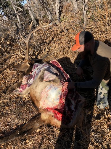 3880A4A0-5ABC-49CC-AD73-D3770D89BA83.jpeg 3880A4A0-5ABC-49CC-AD73-D3770D89BA83.jpeg