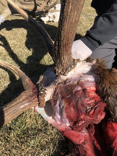 6637A3A8-5766-4E86-BC2A-90CAF479E98F.jpeg 6637A3A8-5766-4E86-BC2A-90CAF479E98F.jpeg