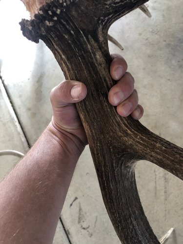 9A4631AA-D817-4A1F-A941-CCF6F9F13C00.jpeg 9A4631AA-D817-4A1F-A941-CCF6F9F13C00.jpeg