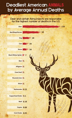 deadliest%20animals.jpg