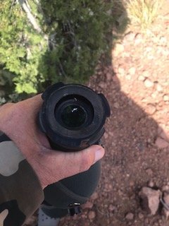IMG_8528.jpg