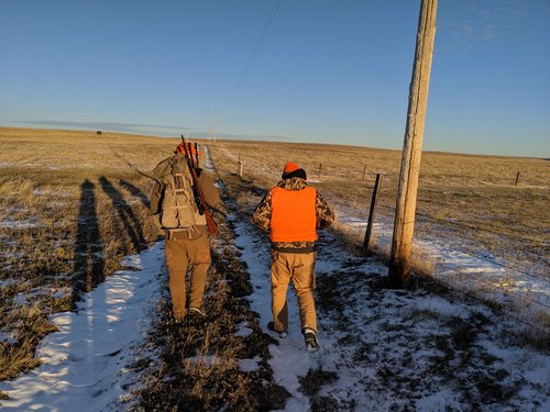 MVIMG_20191011_175446.jpg MVIMG_20191011_175446.jpg