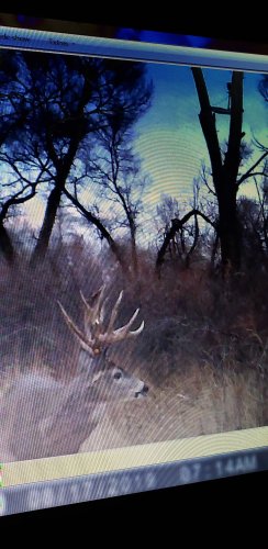 20191209_180313.jpg 20191209_180313.jpg