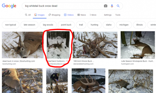 1576520947231.png 1576520947231.png
