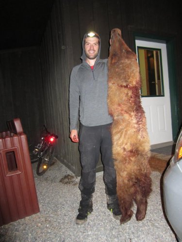 2017bear4.jpg 2017bear4.jpg