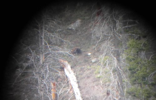 big bear.jpg big bear.jpg
