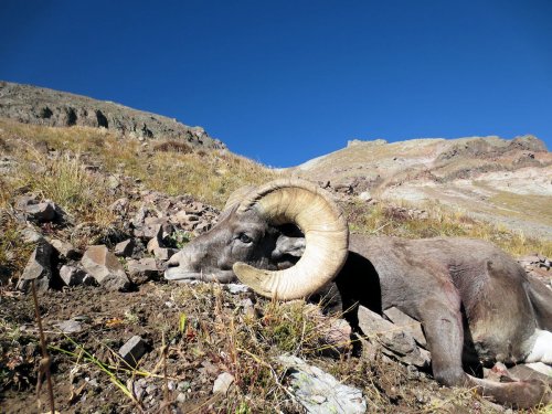 Ram3.jpg Ram3.jpg