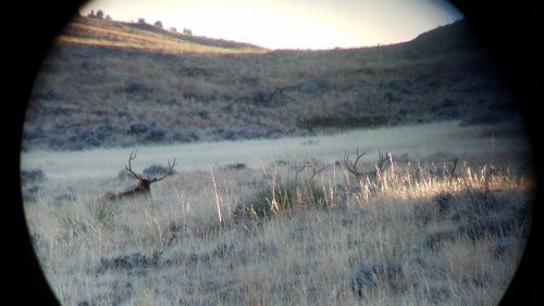20171124_155146.jpg 20171124_155146.jpg