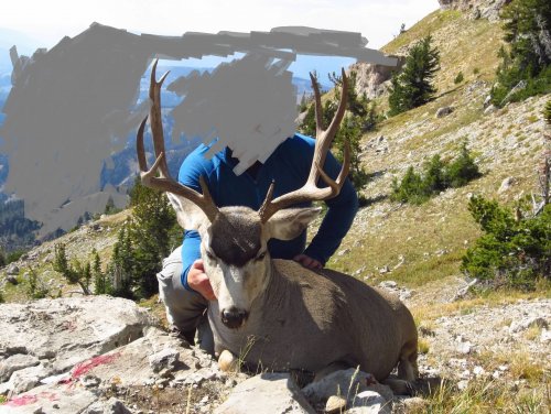 buck.jpg buck.jpg