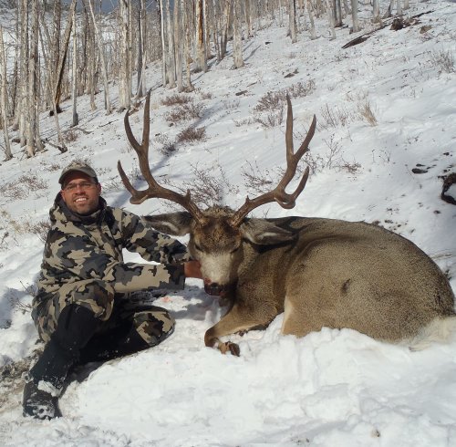 2013 Mule Deer.jpg