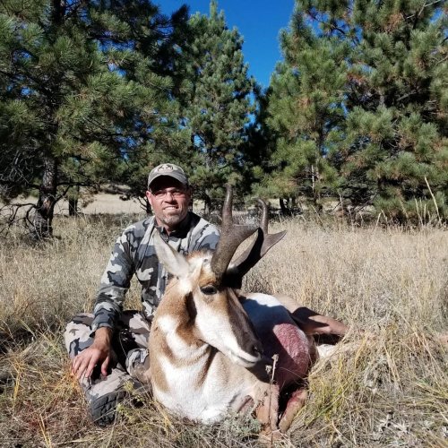 antelope2.jpg