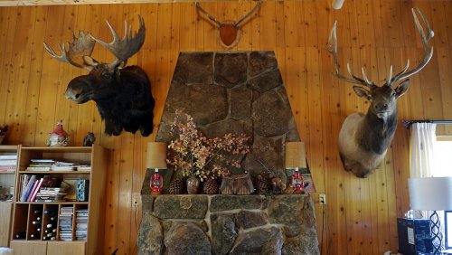 Bullwinkle lives!.jpg Bullwinkle lives!.jpg