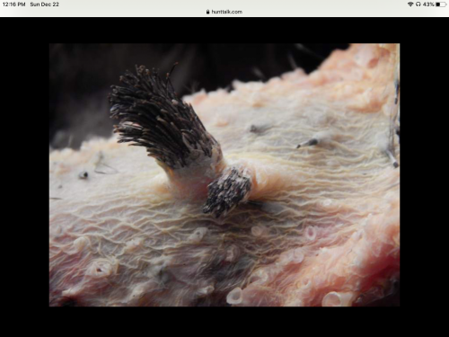 C9220310-C2C0-48FD-9DF5-336C0B79D8AA.png C9220310-C2C0-48FD-9DF5-336C0B79D8AA.png