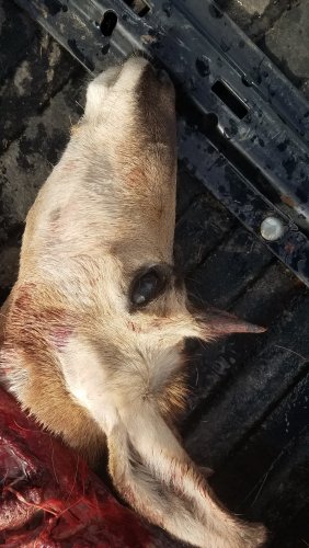 20190928_153509.jpg 20190928_153509.jpg