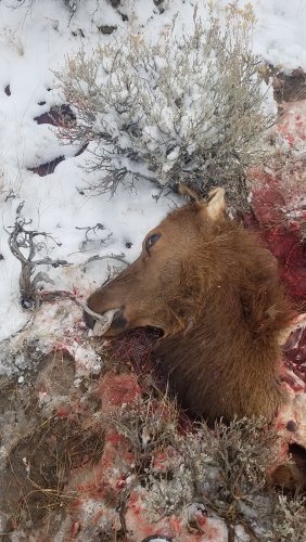 20191010_121936.jpg 20191010_121936.jpg