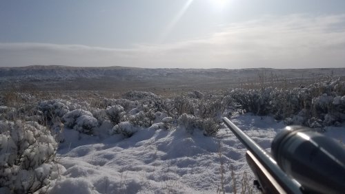 20191010_093124.jpg 20191010_093124.jpg