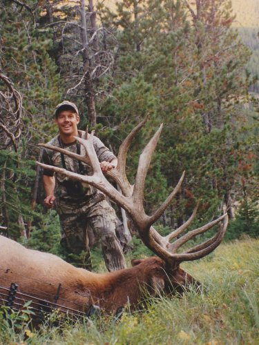 kr2001elk.jpg kr2001elk.jpg