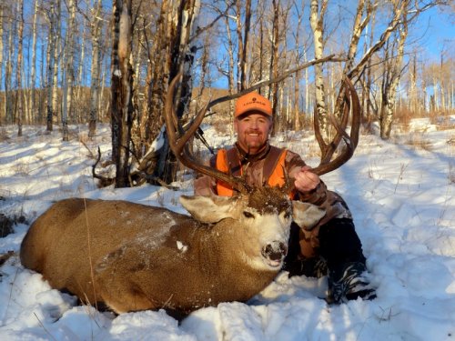 2013Buck1.jpg 2013Buck1.jpg