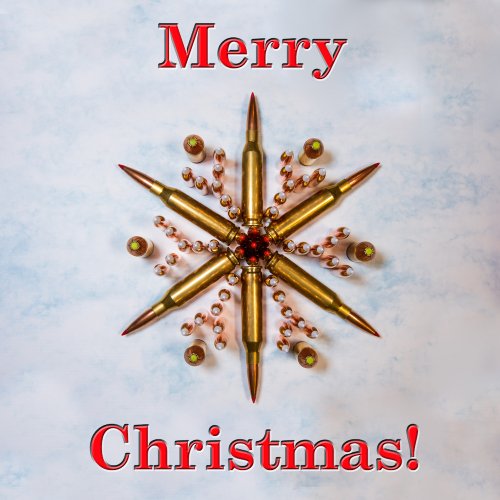 Merry Christmas.JPG