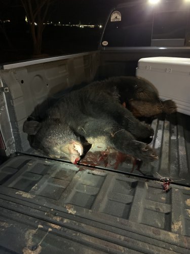 A358A979-DB39-4FEE-B07B-066701D72BBE.jpeg A358A979-DB39-4FEE-B07B-066701D72BBE.jpeg