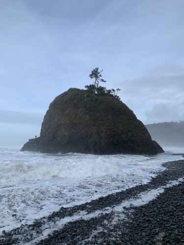 7F001809-E0B4-4360-A7EA-1E59DBF7C1DE.jpeg 7F001809-E0B4-4360-A7EA-1E59DBF7C1DE.jpeg