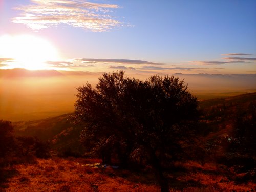 1013180804a_HDR.jpg 1013180804a_HDR.jpg