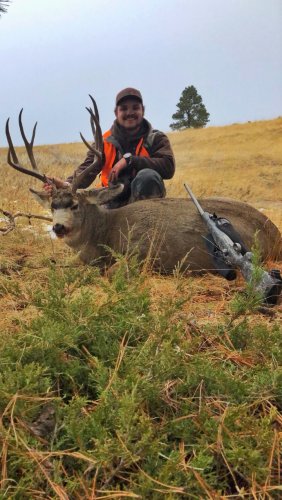 deer.jpg deer.jpg