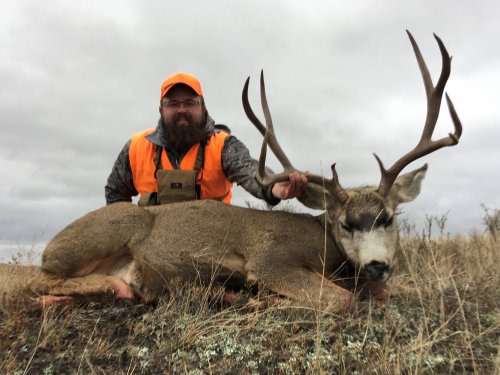deer1.jpg deer1.jpg