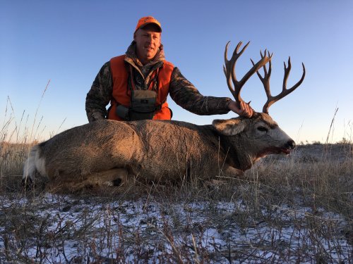 deer2.jpg deer2.jpg